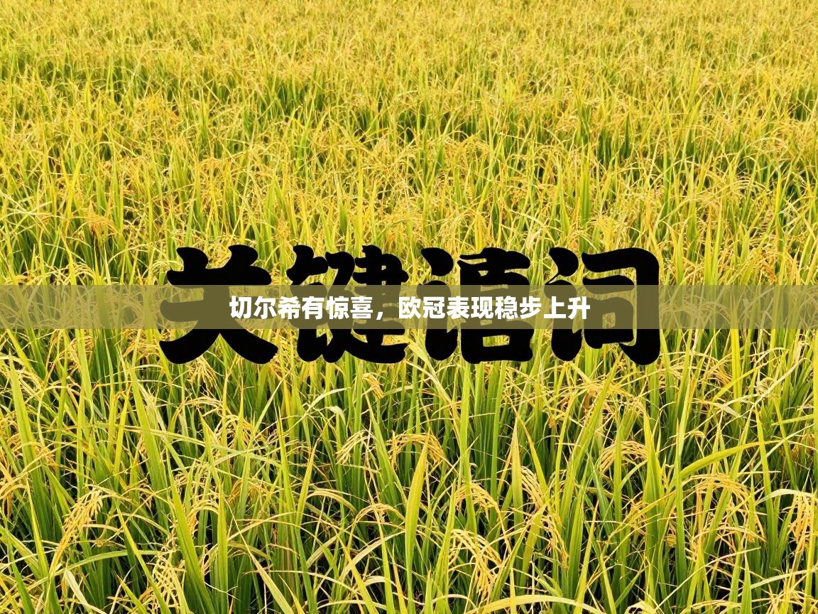 切尔希有惊喜，欧冠表现稳步上升  第2张